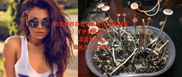 винт Алексеевка